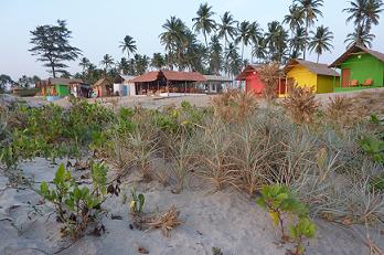 Goa Beach Huts