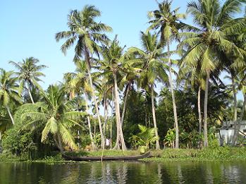 Kerala Backwater