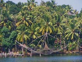 Backwater Kerala Nets