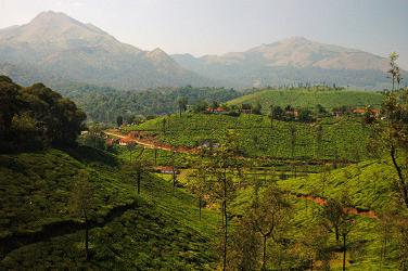 Wayanad district, Kerala