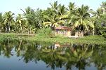 Backwater Kerala