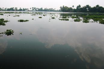 Backwater Kerala