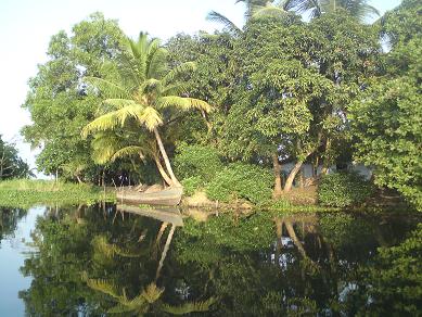 Backwater Kerala