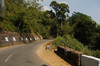 Open Road Wayanad