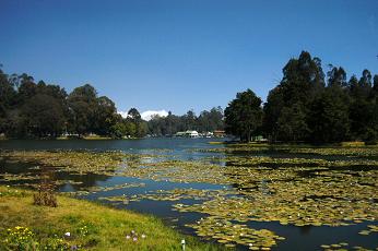 Kodaikanal, Tamil Nadu