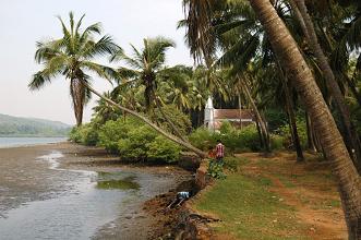 Siolim river bank