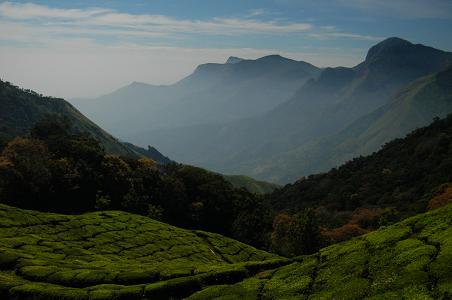 Top Station Kerala Pic